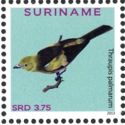 Palm Tanager (Thraupis palmarum)